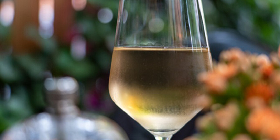 Best Temperatures for Serving White Wines