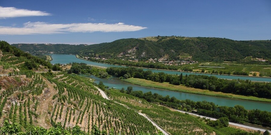 2014 Rhônes: A limited parcel from a very fine vintage