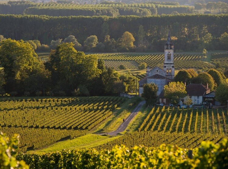 Mcon Uchizy, Domaine Talmard 2024