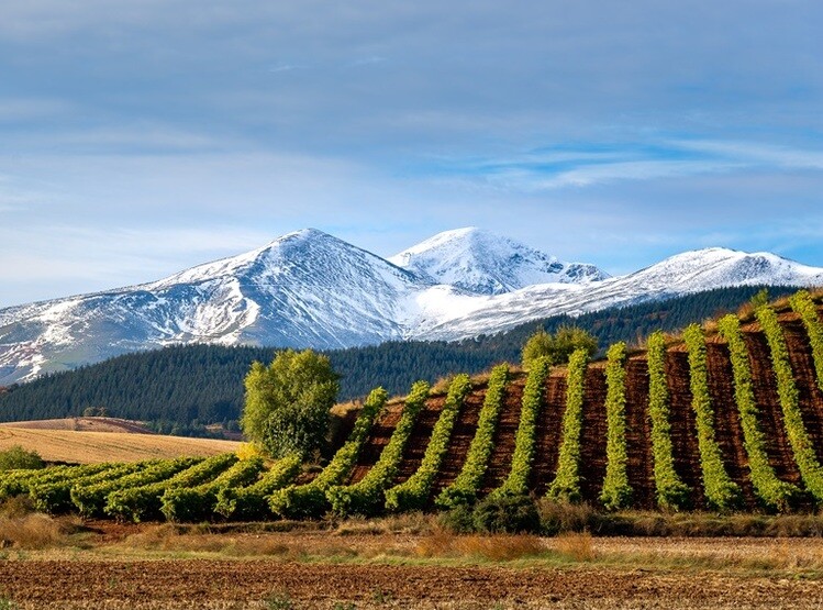 Top-class Rioja from Bodegas Urbina