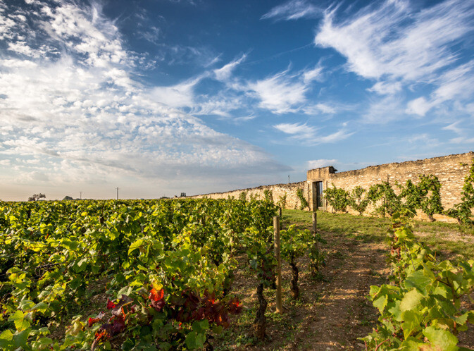 A selection of wines to suit most pockets